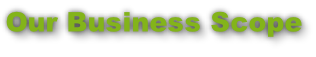 Our Business Scope